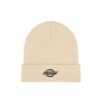 gorro dickies