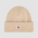 gorro dickies